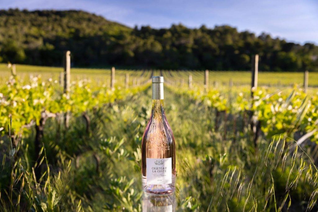 De beste wijnhuizen en wijnproeverijen in de Provence Frankrijk staat bekend om zijn kaas, maar vooral om zijn wijn. Frankrijk is de thuisbasis van enkele van de beste wijnen ter wereld. Het hele land herbergt talloze fantastische plekken om wijn te drinken.