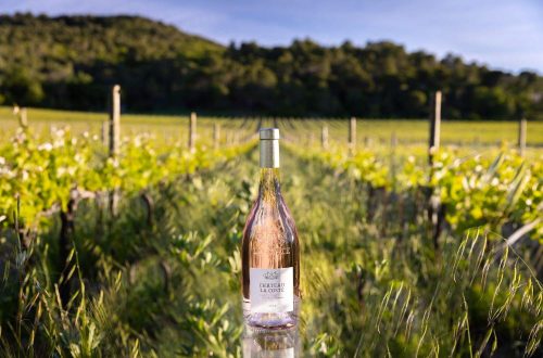 De beste wijnhuizen en wijnproeverijen in de Provence Frankrijk staat bekend om zijn kaas, maar vooral om zijn wijn. Frankrijk is de thuisbasis van enkele van de beste wijnen ter wereld. Het hele land herbergt talloze fantastische plekken om wijn te drinken.