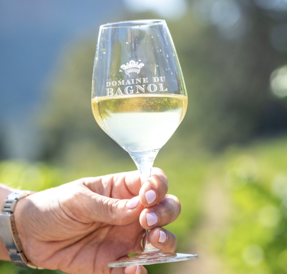 De beste wijnhuizen en wijnproeverijen in de Provence Frankrijk staat bekend om zijn kaas, maar vooral om zijn wijn. Frankrijk is de thuisbasis van enkele van de beste wijnen ter wereld. Het hele land herbergt talloze fantastische plekken om wijn te drinken.